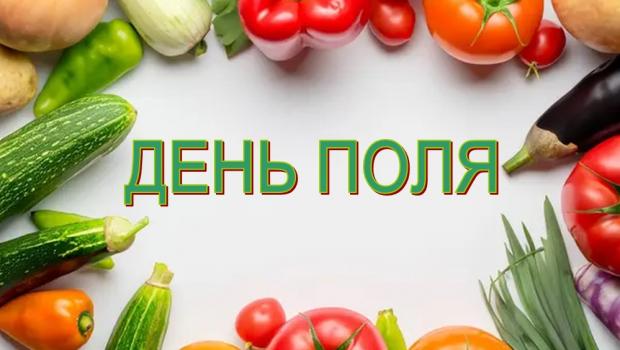 ДЕНЬ ПОЛЯ «СЕЛЕКЦІЙНІ ІННОВАЦІЇ В ОВОЧІВНИЦТВІ І БАШТАННИЦТВІ»