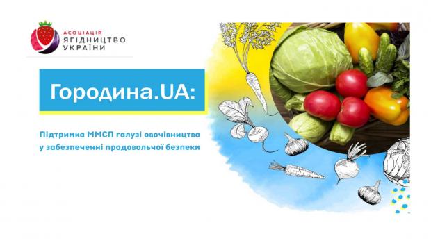 Моніторинг насаджень овочевих рослин серед мешканців Перещепинської територіальної громади Дніпропетровської області 