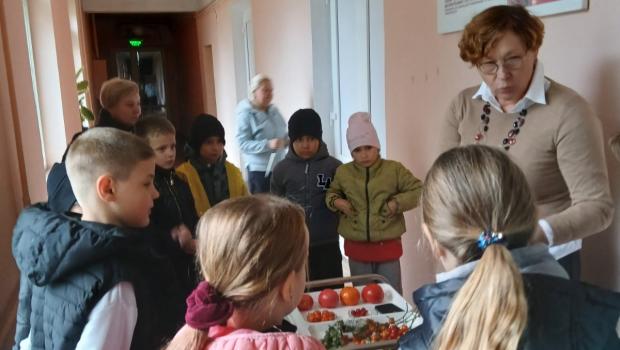Екскурсія для учнів 3-4 класів КЗ «Мерефянська Гімназія №7» в Інституті овочівництва і баштанництва НААН