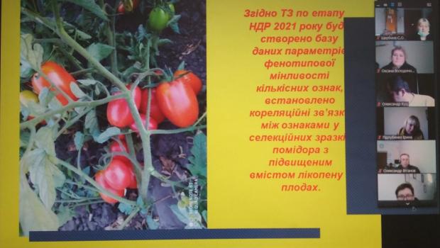 ZOOM-конференція з розгляду робочих програм науково-дослідних робіт за завданнями на 2021р.