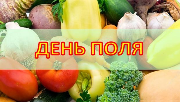 ДЕНЬ ПОЛЯ «СЕЛЕКЦІЙНІ ІННОВАЦІЇ В ОВОЧІВНИЦТВІ І БАШТАННИЦТВІ»