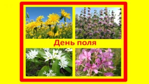 День поля на Дослідній станції «Маяк» ІОБ НААН