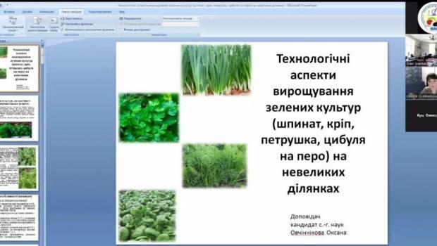 Навчання виробників овочевої продукції за темою «Технологічні аспекти вирощування зелених культур на невеликих ділянках»