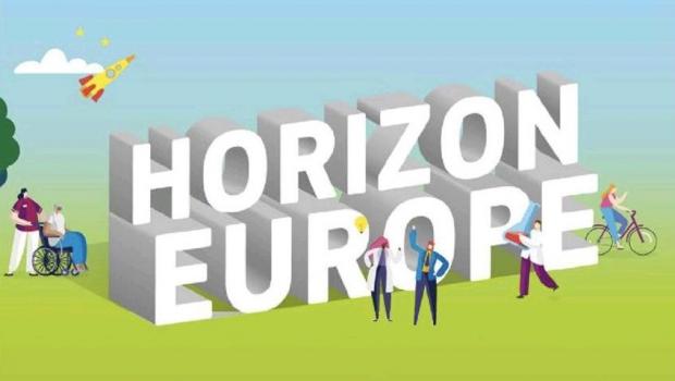 Online working meeting on the preparation of a grant project in the 