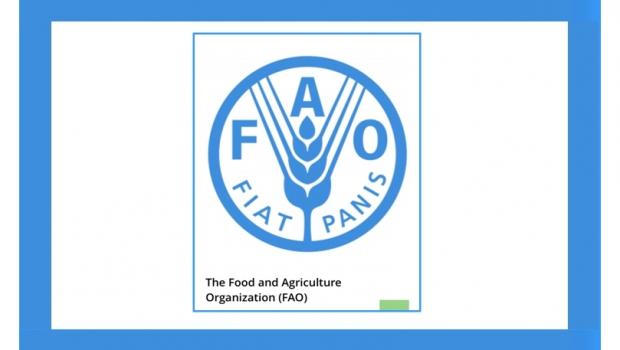 Співпраця з Продовольчою та сільськогосподарською організацією ООН (Food and Agriculture Organization, FAO)