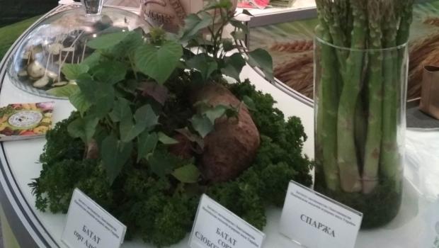 33 Міжнародна агропромислова виставка AGRO-2021