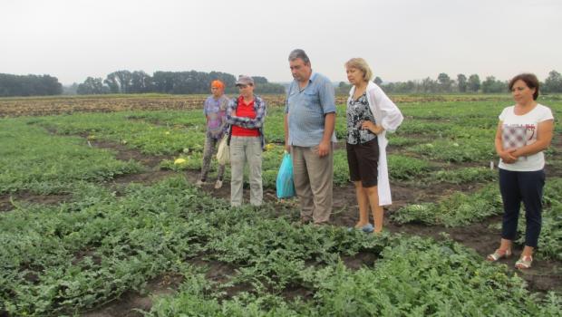 10 серпня 2021 року в Інституті овочівництва і баштанництва НААН відбулось приймання дослідів з ПНД 20 «Овочівництво і баштанництво».