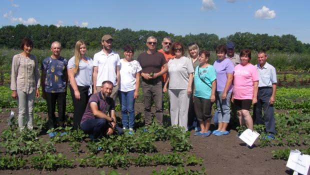 День поля Дослідної станції «Маяк»