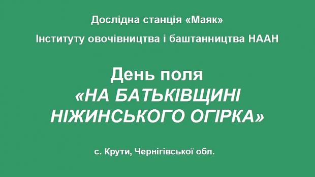 День поля «На батьківщині Ніжинського огірка»