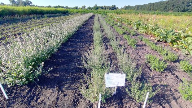 Приймання наукових дослідів